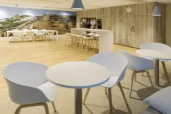 Hay AAC22 Stoel Gezeept Eiken Onderstel Pastel Green 26 Hay AAC22 Stoel Gezeept Eiken Onderstel Pastel Green -Meubelwinkel x886x886 Gispen Tom Tom Amsterdam K5B7215.jpg.pagespeed.ic .1MitpfehG3