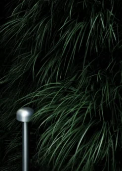 Flos Bellhop Sokkellamp LED Hoog Roestvrij Staal -Meubelwinkel x886x886 flos bellhop sokkellamp led hoog.jpg.pagespeed.ic .cCbv53up24 1