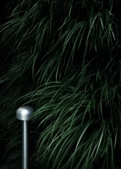 Flos Bellhop Sokkellamp LED Laag Zwart -Meubelwinkel x886x886 flos bellhop sokkellamp led laag3.jpg.pagespeed.ic .ix25f2Kfdw 2