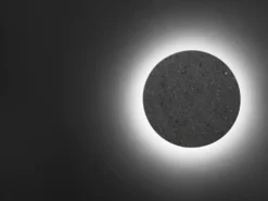 Flos Camouflage 240 Wandlamp LED 3000K Wit 23 Flos Camouflage 240 Wandlamp LED 3000K Wit -Meubelwinkel x886x886 flos camouflage 240 buitenlamp led 2700k15.jpg.pagespeed.ic .uGlBK CW9b