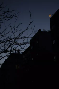 Foscarini Twiggy Grid Outdoor Booglamp LED Rood 19 Foscarini Twiggy Grid Outdoor Booglamp LED Rood -Meubelwinkel x886x886 foscarini twiggy grid vloerlamp outdoor led8.jpg.pagespeed.ic .466Ls oFUO