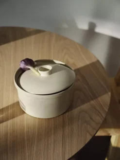 Iittala Teema Ovenschaal Met Deksel Ø20.9 Linnen 11 Iittala Teema Ovenschaal Met Deksel Ø20.9 Linnen -Meubelwinkel x886x886 iittala teema schaal met deksel5.jpg.pagespeed.ic . c1siPdsdD 1