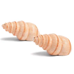 Voorkant -Meubelwinkel x886x886 klevering peper en zoutmolen.jpg.pagespeed.ic . 9mboxcgjZ