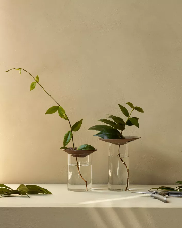 Audo Copenhagen Cresco Propagation Vaas Set Van 2 Transparant 4 Audo Copenhagen Cresco Propagation Vaas Set Van 2 Transparant - Afbeelding 2