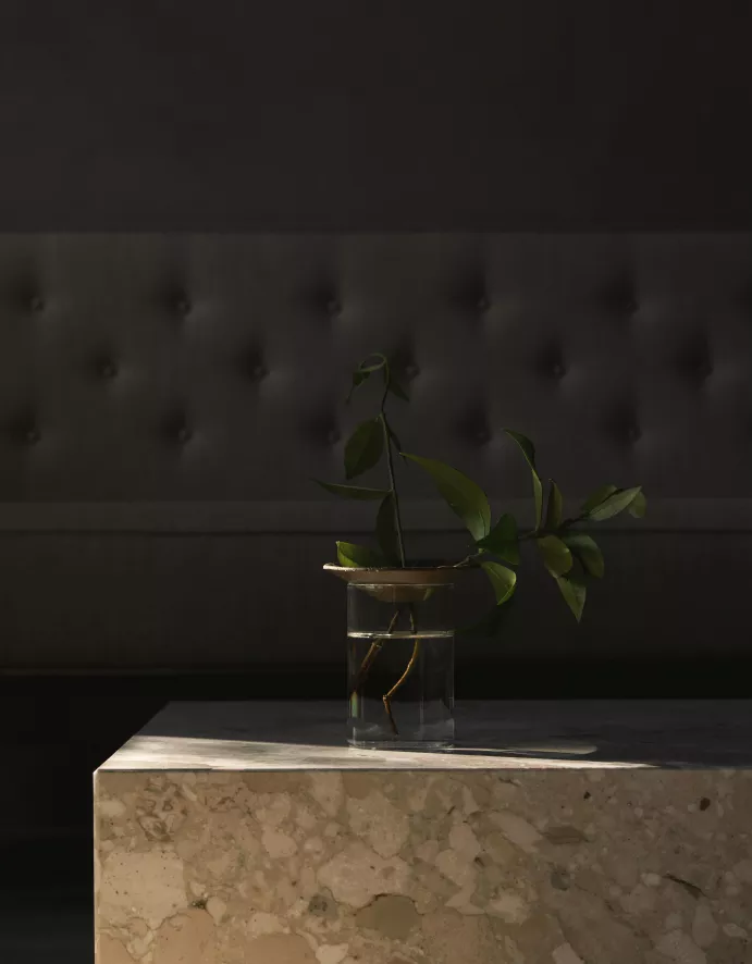 Audo Copenhagen Cresco Propagation Vaas Set Van 2 Transparant 5 Audo Copenhagen Cresco Propagation Vaas Set Van 2 Transparant - Afbeelding 3