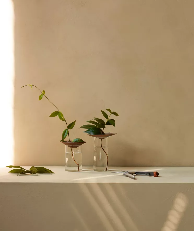 Audo Copenhagen Cresco Propagation Vaas Set Van 2 Transparant 6 Audo Copenhagen Cresco Propagation Vaas Set Van 2 Transparant - Afbeelding 4