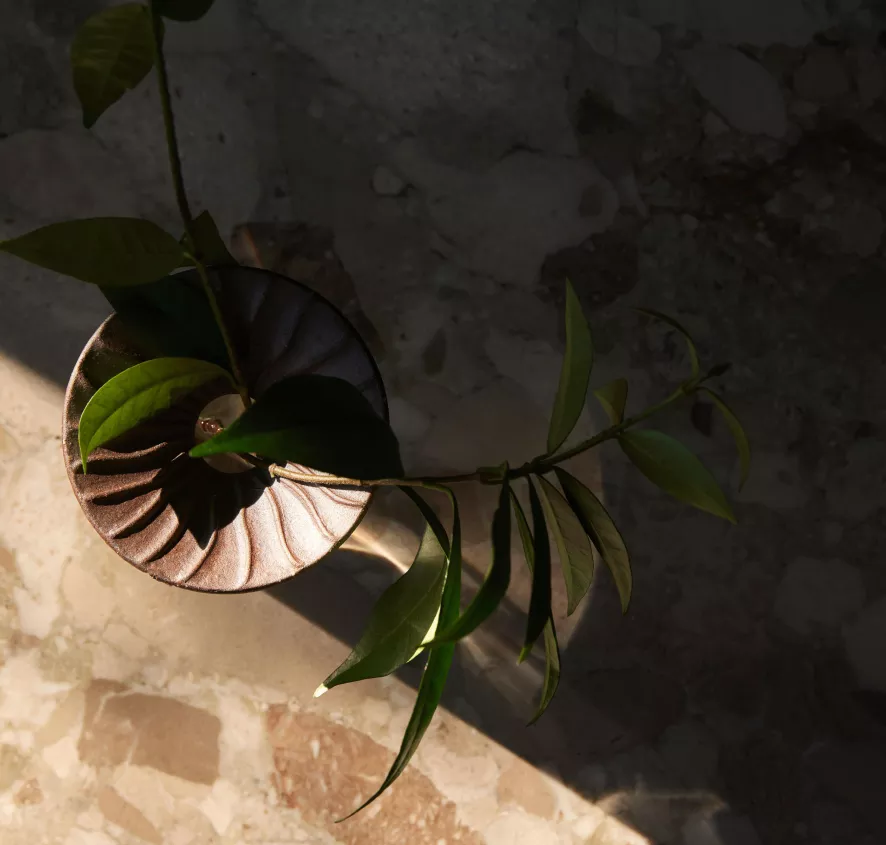 Audo Copenhagen Cresco Propagation Vaas Set Van 2 Transparant 7 Audo Copenhagen Cresco Propagation Vaas Set Van 2 Transparant - Afbeelding 5