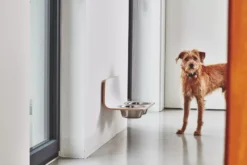 MiaCara Arco Hondenvoerbak Wand Small/medium Wit 11 MiaCara Arco Hondenvoerbak Wand Small/medium Wit -Meubelwinkel x886x886 miacara arco hondenvoerbak wand3.jpg.pagespeed.ic .ybd NyJ9nh 1