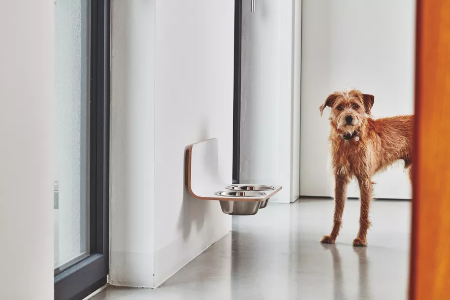 MiaCara Arco Hondenvoerbak Wand Small/medium Wit 5 MiaCara Arco Hondenvoerbak Wand Small/medium Wit - Afbeelding 3