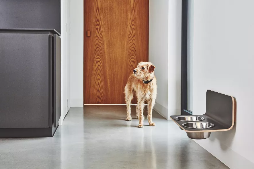 MiaCara Arco Hondenvoerbak Wand Small/medium Wit 6 MiaCara Arco Hondenvoerbak Wand Small/medium Wit - Afbeelding 4