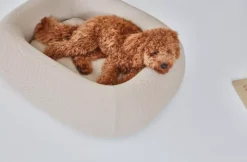 MiaCara Barca Hondenmand Small/medium Taupe 18 MiaCara Barca Hondenmand Small/medium Taupe -Meubelwinkel x886x886 miacara barca hondenmand medium large10.jpg.pagespeed.ic .m4eD0mqXDB