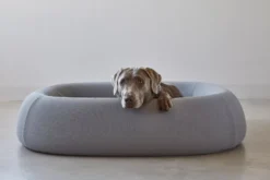 MiaCara Barca Hondenmand Small/medium Taupe 15 MiaCara Barca Hondenmand Small/medium Taupe -Meubelwinkel x886x886 miacara barca hondenmand medium large6.jpg.pagespeed.ic .4p zq FMM2