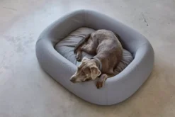 MiaCara Barca Hondenmand Small/medium Taupe 19 MiaCara Barca Hondenmand Small/medium Taupe -Meubelwinkel x886x886 miacara barca hondenmand medium large8.jpg.pagespeed.ic .v Y jq JGT