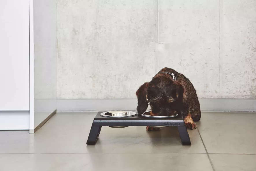 MiaCara Desco Hondenvoerbak Large Aluminium Wit 6 MiaCara Desco Hondenvoerbak Large Aluminium Wit - Afbeelding 4