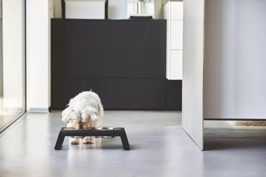 MiaCara Desco Hondenvoerbak Large Aluminium Zwart 5 MiaCara Desco Hondenvoerbak Large Aluminium Zwart - Afbeelding 3