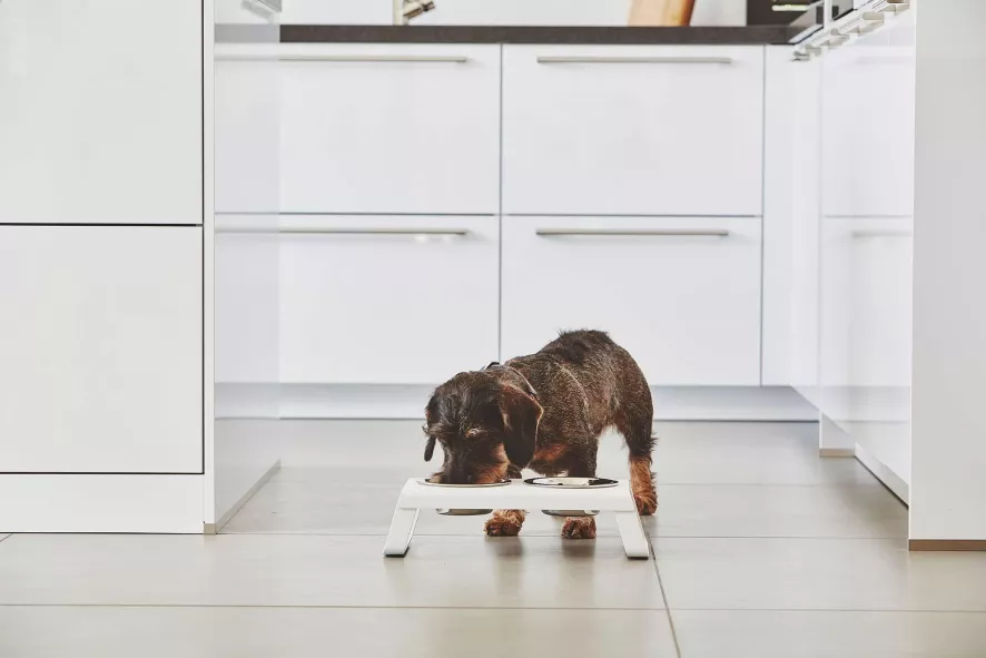 MiaCara Desco Hondenvoerbak Large Aluminium Wit 7 MiaCara Desco Hondenvoerbak Large Aluminium Wit - Afbeelding 5