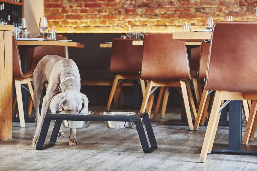 MiaCara Desco Hondenvoerbak Large Aluminium Zwart 8 MiaCara Desco Hondenvoerbak Large Aluminium Zwart - Afbeelding 6