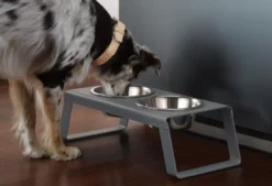 MiaCara Desco Hondenvoerbak Large Aluminium Wit 20 MiaCara Desco Hondenvoerbak Large Aluminium Wit -Meubelwinkel x886x886 miacara desco hondenvoerbak medium30.jpg.pagespeed.ic .hO8vdqdI84 3