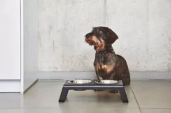 MiaCara Desco Hondenvoerbak Large Aluminium Wit 24 MiaCara Desco Hondenvoerbak Large Aluminium Wit -Meubelwinkel x886x886 miacara desco hondenvoerbak medium34.jpg.pagespeed.ic .1Ds QXa7yc 4