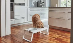 MiaCara Desco Hondenvoerbak Porselein Small Zwart -Meubelwinkel x886x886 miacara desco hondenvoerbak porselein small11.jpg.pagespeed.ic .hjPOMS Fdl 3