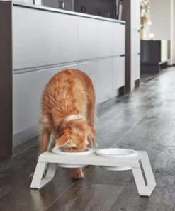 MiaCara Desco Hondenvoerbak Porselein Small Zwart -Meubelwinkel x886x886 miacara desco hondenvoerbak porselein small13.jpg.pagespeed.ic .oUbyeaamyF 3