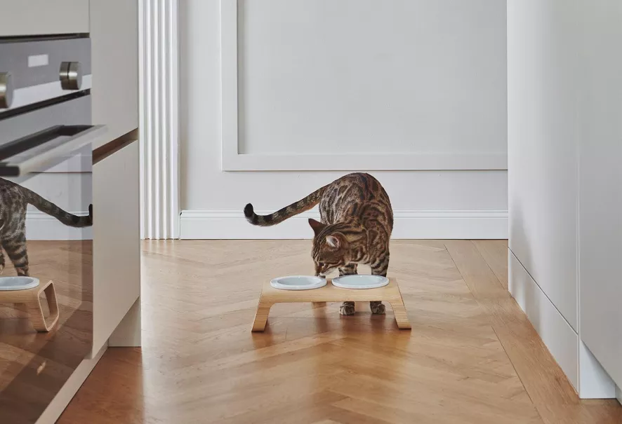 MiaCara Desco Kattenvoerbak Porselein Essen Naturel 4 MiaCara Desco Kattenvoerbak Porselein Essen Naturel - Afbeelding 2