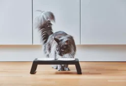 MiaCara Desco Kattenvoerbak Porselein Essen Naturel 8 MiaCara Desco Kattenvoerbak Porselein Essen Naturel -Meubelwinkel x886x886 miacara desco kattenvoerbak porselein9.jpg.pagespeed.ic .HZkilIVJP9