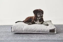 MiaCara Divo Hondenkussen Small Slate 13 MiaCara Divo Hondenkussen Small Slate -Meubelwinkel x886x886 miacara divo hondenkussen small.jpg.pagespeed.ic .VE 6keVMre