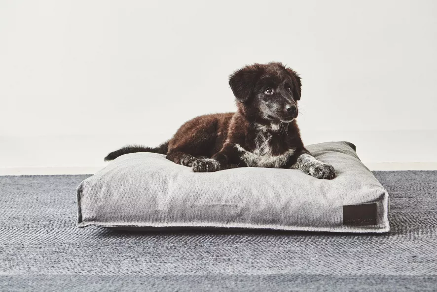 MiaCara Divo Hondenkussen Small Slate 6 MiaCara Divo Hondenkussen Small Slate - Afbeelding 4