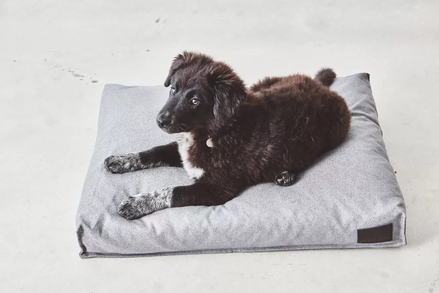 MiaCara Divo Hondenkussen Small Mocca 4 MiaCara Divo Hondenkussen Small Mocca - Afbeelding 2