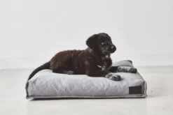 MiaCara Divo Hondenkussen Small Mocca 14 MiaCara Divo Hondenkussen Small Mocca -Meubelwinkel x886x886 miacara divo hondenkussen small2.jpg.pagespeed.ic .S5alnara7G 1