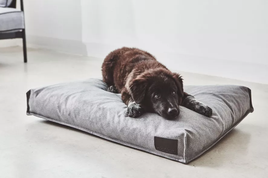 MiaCara Divo Hondenkussen Small Mocca 8 MiaCara Divo Hondenkussen Small Mocca - Afbeelding 6