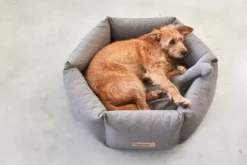 MiaCara Felice Hondenmand Ø60 Small Sand 16 MiaCara Felice Hondenmand Ø60 Small Sand -Meubelwinkel x886x886 miacara felice hondenmand large2.jpg.pagespeed.ic .s88Yfm XQC 1