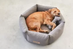 MiaCara Felice Hondenmand Ø60 Small Sand 19 MiaCara Felice Hondenmand Ø60 Small Sand -Meubelwinkel x886x886 miacara felice hondenmand large4.jpg.pagespeed.ic .1YkWjr7xok 1