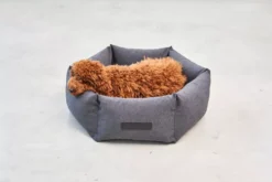 MiaCara Felice Hondenmand Ø60 Small Sand 20 MiaCara Felice Hondenmand Ø60 Small Sand -Meubelwinkel x886x886 miacara felice hondenmand large5.jpg.pagespeed.ic .dqAwJt zBK 1