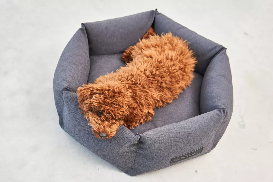 MiaCara Felice Hondenmand Ø60 Small Sand 5 MiaCara Felice Hondenmand Ø60 Small Sand - Afbeelding 3