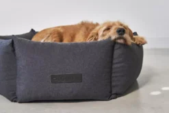 MiaCara Felice Hondenmand Ø60 Small Sand 15 MiaCara Felice Hondenmand Ø60 Small Sand -Meubelwinkel x886x886 miacara felice hondenmand large9.jpg.pagespeed.ic .0LZ2tOuOYV 1