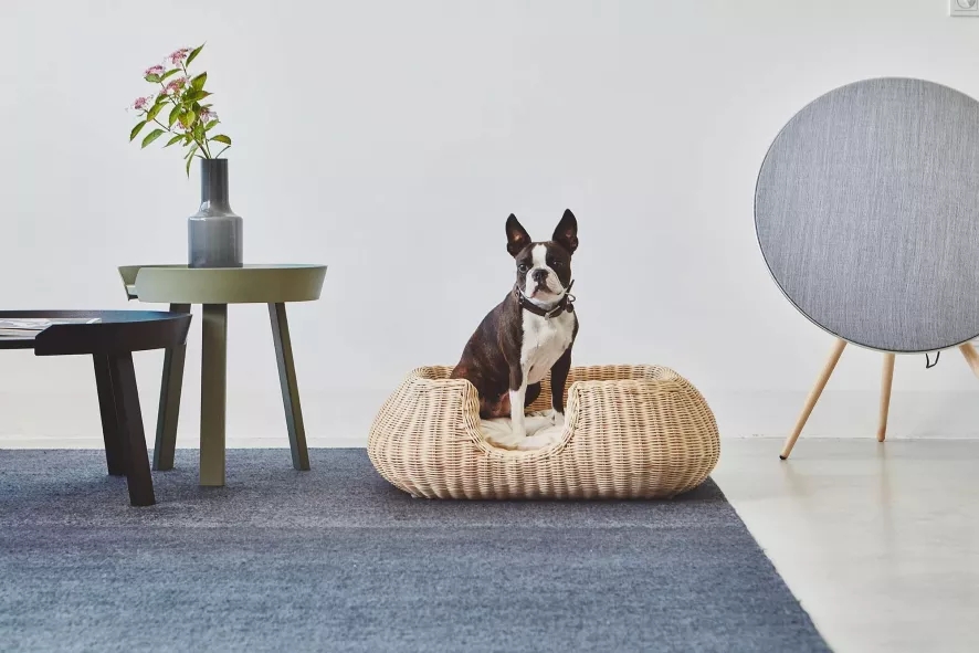 MiaCara Mio Hondenmand Small Hemp 6 MiaCara Mio Hondenmand Small Hemp - Afbeelding 4