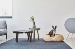 MiaCara Mio Hondenmand Small Hemp 21 MiaCara Mio Hondenmand Small Hemp -Meubelwinkel x886x886 miacara mio hondenmand small2.jpg.pagespeed.ic .mSItWYhWlV