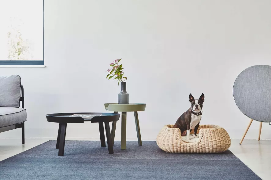 MiaCara Mio Hondenmand Small Hemp 9 MiaCara Mio Hondenmand Small Hemp - Afbeelding 7