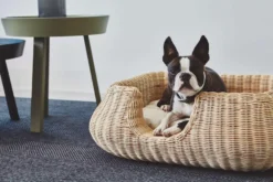 MiaCara Mio Hondenmand Small Hemp 23 MiaCara Mio Hondenmand Small Hemp -Meubelwinkel x886x886 miacara mio hondenmand small4.jpg.pagespeed.ic .3aUbSdiIe6