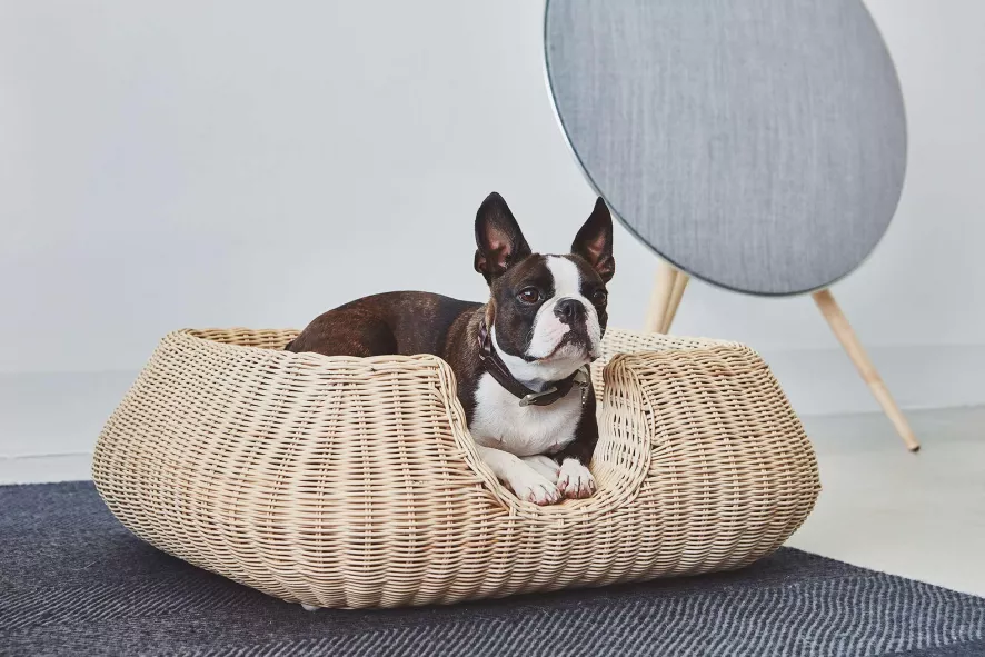 MiaCara Mio Hondenmand Small Hemp 10 MiaCara Mio Hondenmand Small Hemp - Afbeelding 8