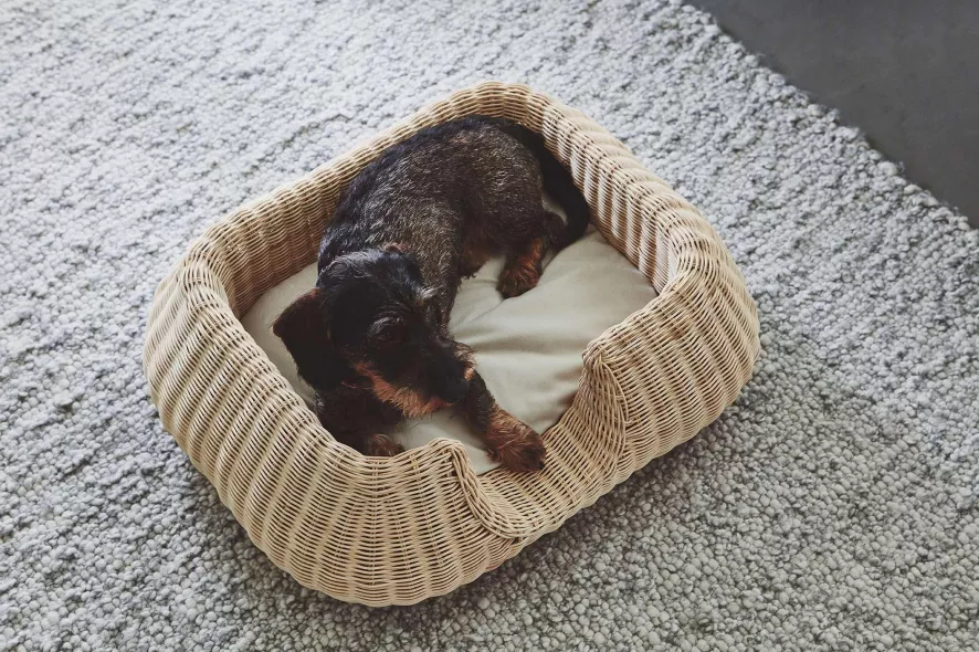 MiaCara Mio Hondenmand Small Hemp 8 MiaCara Mio Hondenmand Small Hemp - Afbeelding 6