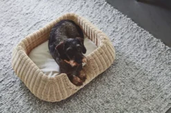 MiaCara Mio Hondenmand Small Hemp 26 MiaCara Mio Hondenmand Small Hemp -Meubelwinkel x886x886 miacara mio hondenmand small8.jpg.pagespeed.ic .cuiQbLjkMo