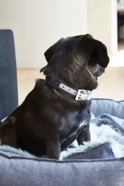 MiaCara Nube Hondenmand Medium Tobacco -Meubelwinkel x886x886 miacara nube hondenmand small21.jpg.pagespeed.ic .flBGihibq1