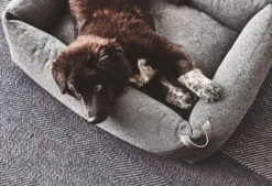 MiaCara Stella Hondenmand Small Mottled Slate 15 MiaCara Stella Hondenmand Small Mottled Slate -Meubelwinkel x886x886 miacara stella hondenmand small5.jpg.pagespeed.ic .qi04m r7Br 3