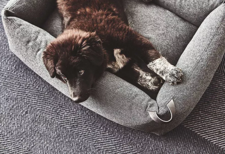 MiaCara Stella Hondenmand Small Mottled Slate 8 MiaCara Stella Hondenmand Small Mottled Slate - Afbeelding 6