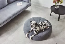 MiaCara Stella Hondenpoef Small/medium Ø70 Slate 10 MiaCara Stella Hondenpoef Small/medium Ø70 Slate -Meubelwinkel x886x886 miacara stella hondenpoef small medium4.jpg.pagespeed.ic .sE3BIHuo1c