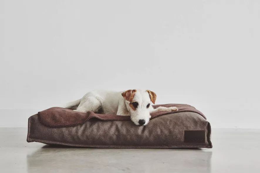 MiaCara Divo Hondenkussen Small Slate 9 MiaCara Divo Hondenkussen Small Slate - Afbeelding 7