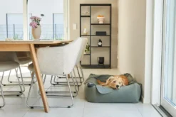 MiaCara Velluto Hondenmand Medium Nude 22 MiaCara Velluto Hondenmand Medium Nude -Meubelwinkel x886x886 miacara velluto hondenmand large3.jpg.pagespeed.ic .E9qYajbRdx